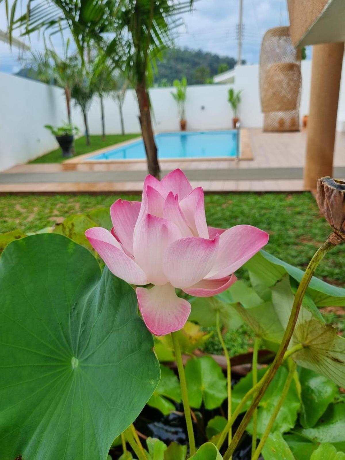 विला 8 Palm - Private Pool In Aonang Ao Nang